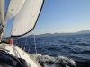 sailing-right