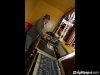 pic_029b