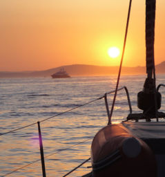 158896c88abf1e1b1960033d3bb17b28_dsc01564_e_27818